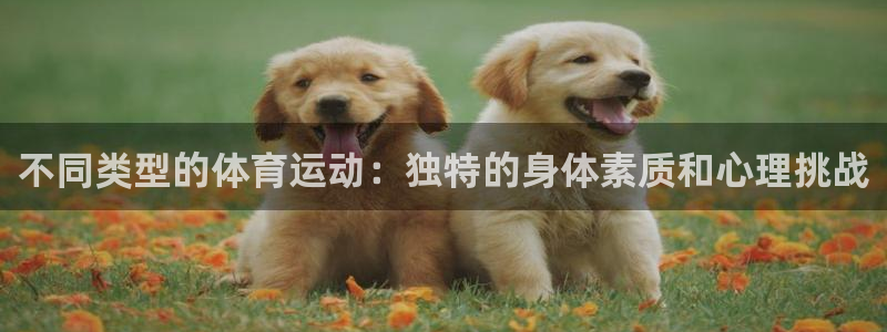 皇冠678体育