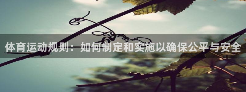 678体育